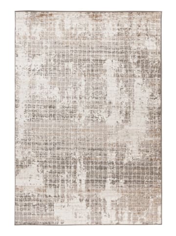 Vivorum Wohnzimmer Kurzflor Teppich Catcher 325 in silber - beige