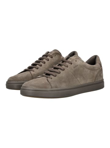 Geox Sneaker in Taupe