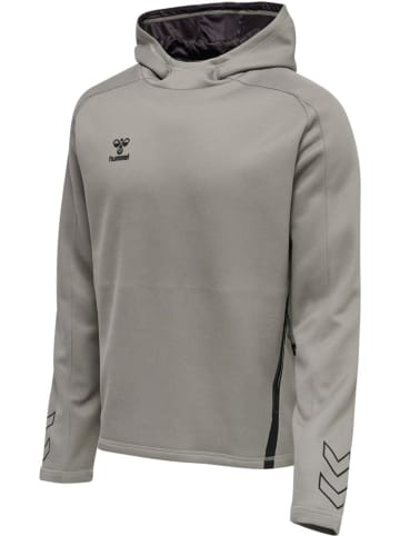 Hummel Hoodie in Grau