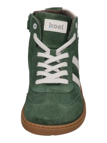 KOEL Sneaker High DREW MERINO in braun