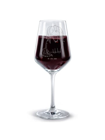 Mr. & Mrs. Panda Glas Rotwein Hund Cavalier King Charles Spaniel... in Transparent