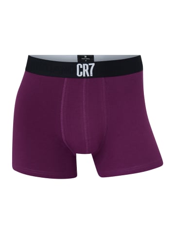 CR7 Boxer Basic Trunk Organic in Dunkelblau/Weiß