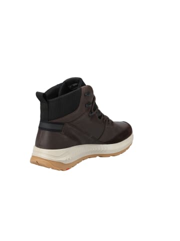 LLOYD Sneaker ELTIS in TESDA DI MORO