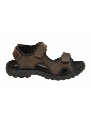 Ecco Outdoorsandalen für Herren in dunkel-braun