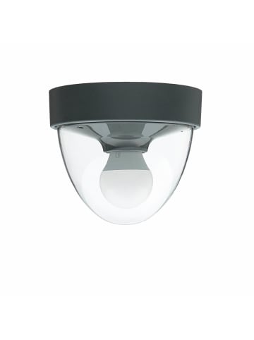 Licht-Erlebnisse Deckenlampe Ø 18 x (H)15.5 cm in Grau Transparent