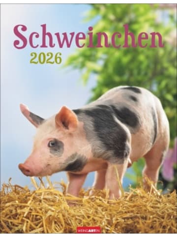 Weingarten Kalender - Schweinchen Kalender 2026