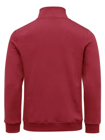 Amaci&Sons Troyer NORTHVILLE in Bordeaux