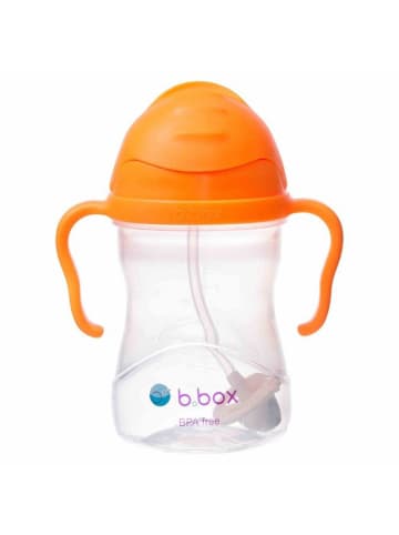 B. Box Trinkflasche Kinder 240 ml mit Strohhalm und Griffen - Ab 6 Monate in Orange
