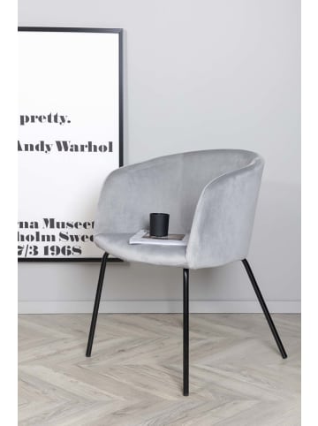 ebuy24 Esszimmerstuhl Berit grau 55 x 55 cm