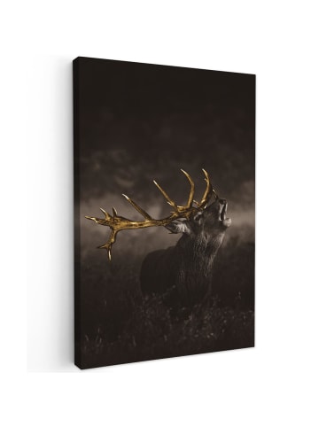 MuchoWow Leinwand bilder Hirsch (BxH)