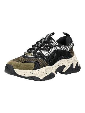 Steve Madden Sneaker in Olive/Weiß
