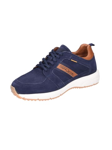 Camel Schnürschuhe in navyblue