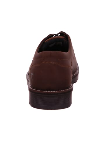 Camel Active Sneaker in braun