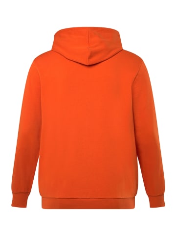 Men Plus Sweatshirt in kürbis