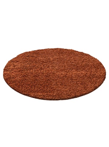 KADIMA DESIGN Teppich Hochflor Shaggy Waschbar Einfarbig RHEIN Strapazierfähig in Terrakotta
