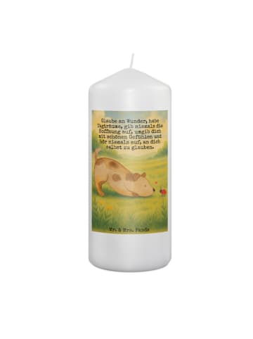 Mr. & Mrs. Panda Wachskerze Hund Marienkäfer Design mit Spruch in Weiß