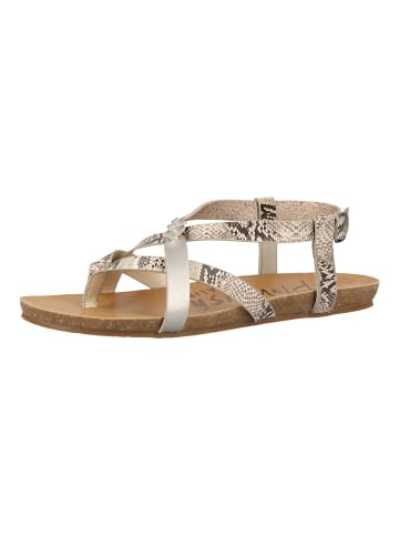 Blowfish Sandalen in Pewter