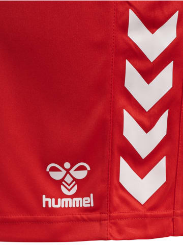 Hummel Hummel Shorts Hmlcore Multisport Damen Atmungsaktiv Feuchtigkeitsabsorbierenden in TRUE RED