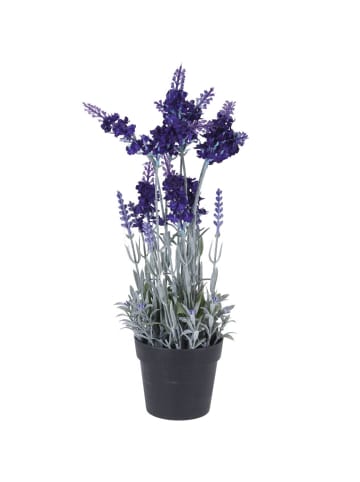 Home&Styling Collection Künstlicher Lavendel in mehrfarben