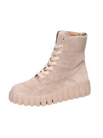 Gabor Stiefeletten/Boot in grau