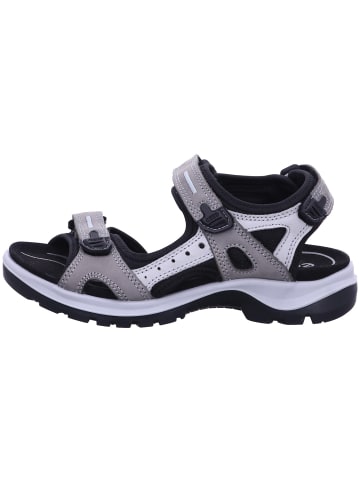 Ecco Sandalette in grau