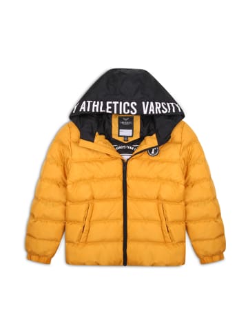Threadboys Steppjacke THBPuffer in Mustard