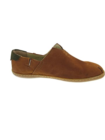 El Naturalista Viajero Slipper Braun