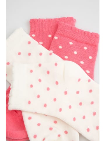 Coccodrillo Socken in bunt