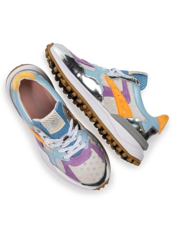 Floris van Bommel Sneaker in mehrfarbig