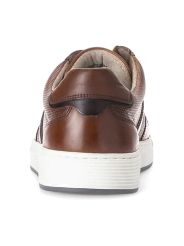 Pius Gabor Sportliche Schnürschuhe in Braun