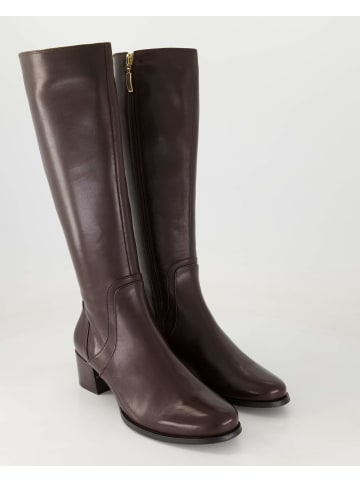 Terry Klassische Stiefel in Braun