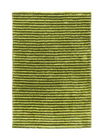 Arte Espina Hochflor Teppich Felicia 200 in grün - rechteckig