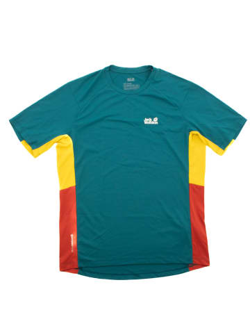 Jack Wolfskin Shirt Pro 11 Hike in Grün