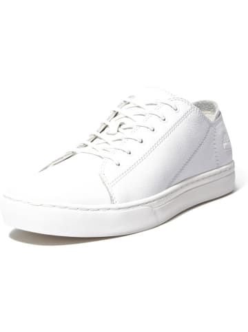 Timberland Sneaker "Adventure 2.0" in Weiß