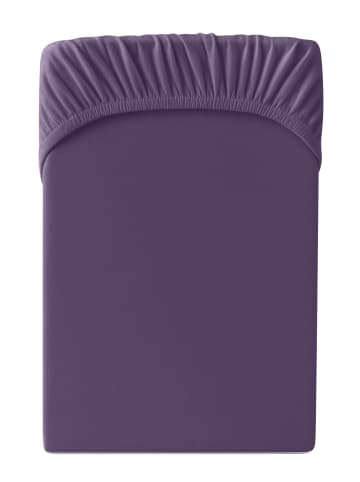 Cats Collection Spannbetttuch Edel-Jersey in violett