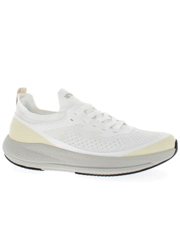 Armata di Mare Sneaker AMU1N952-OFFWHITE Weiß