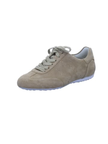 Semler Schnürschuh in braun