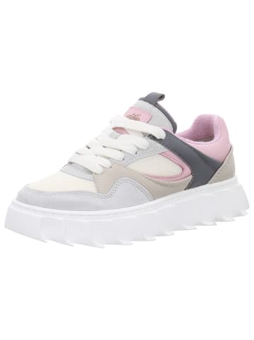 Apple of Eden Sneaker Low in bunt