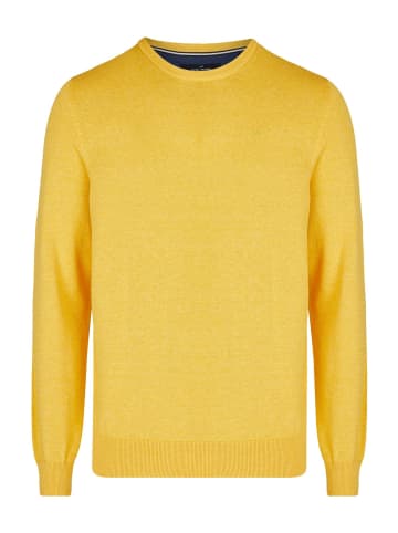 HECHTER PARIS Rundhalspullover in yellow