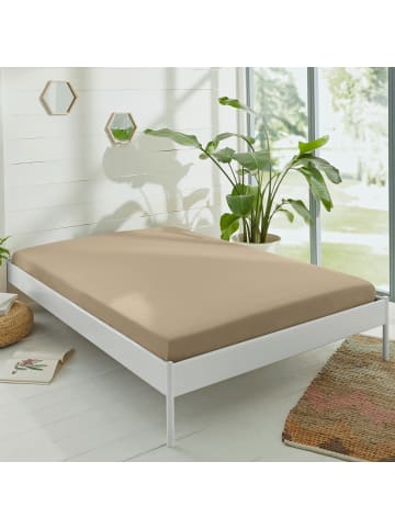 Erwin Müller Single-Jersey Spannbettlaken Murnau in taupe