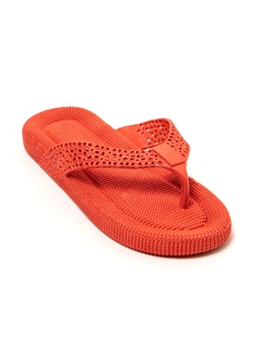 Brasileras Zehentrenner "Flopee" in Bordeaux