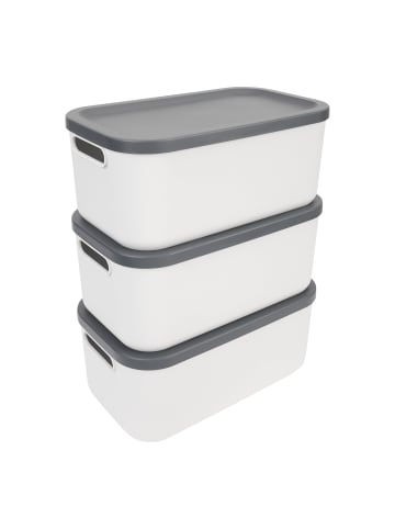 Rotho Set Box 12l 3 tlg. ALBULA light