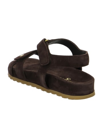 Paul Green Sandalen in Braun