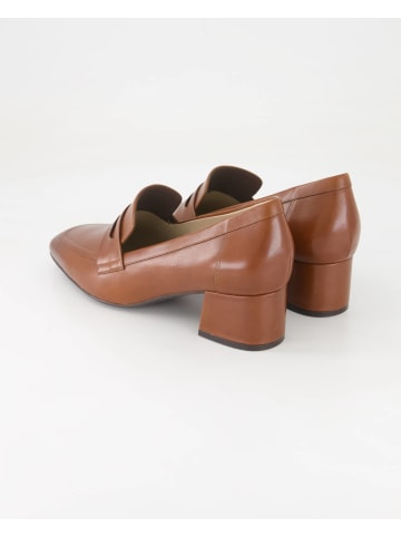 Terry Slipper in Braun