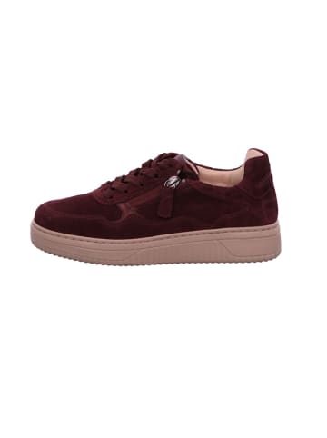 Gabor Sneaker Low in bordo