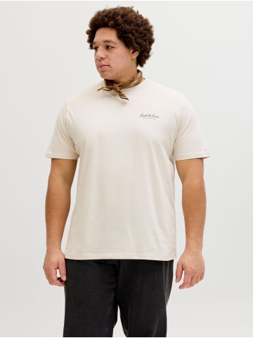 JACK & JONES PLUS T-shirt in Moonbeam