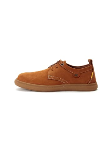 Camel Active Schnürschuhe aus Leder in Braun