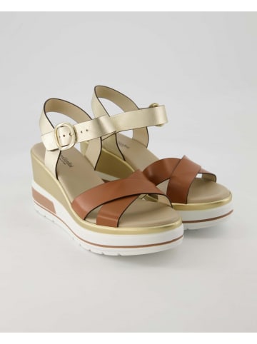 Nero Giardini Wedges in Gold