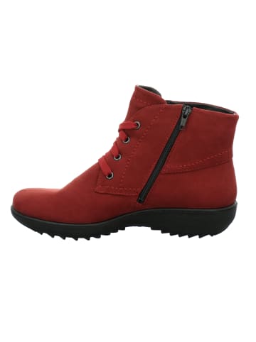 WESTLAND Stiefelette Orleans in rot