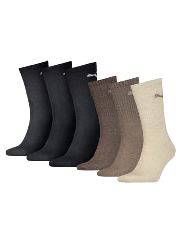 Puma Socken 6er Pack in Schwarz/Braun